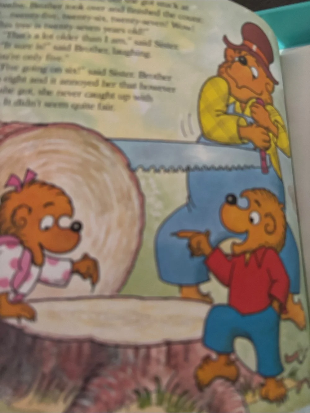 The Berenstain Bears & too much birthday